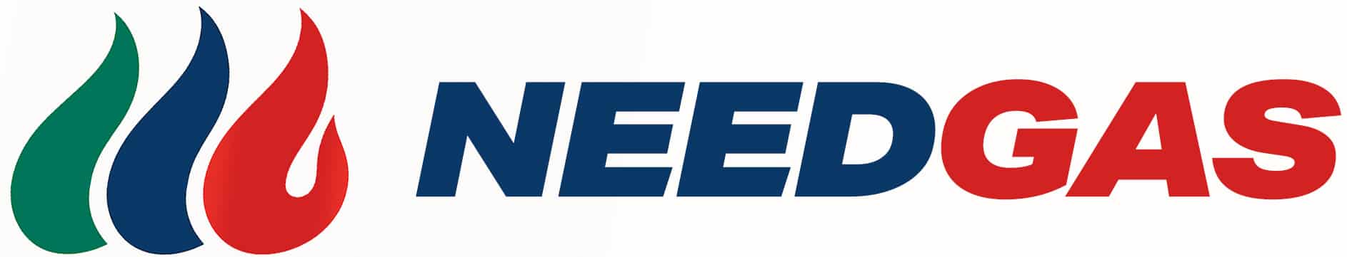 logo2 NeedGas