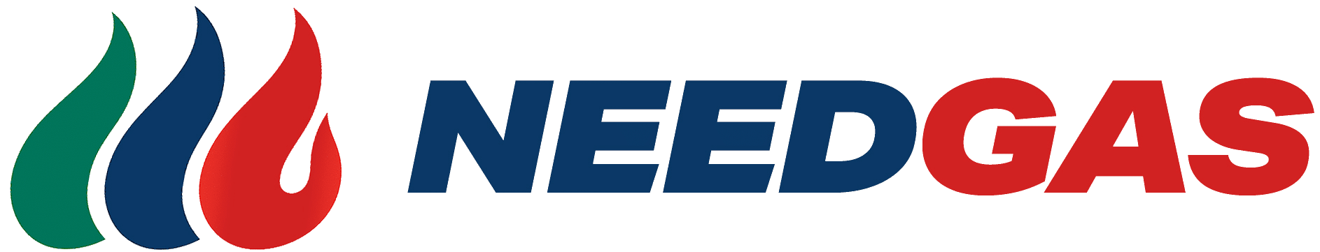 logo2 NeedGas